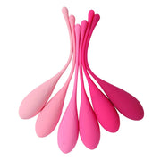 Feelztoys FemmeFit Pelvic Muscle Training Set 6 pcs