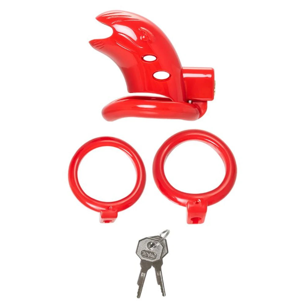 The Worx Dick Cage Red Kilitlenebilir Penis Kafesi