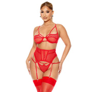 Frowzer Fantasy Wear Fantezi File Tül Kadın Jartiyer Takım