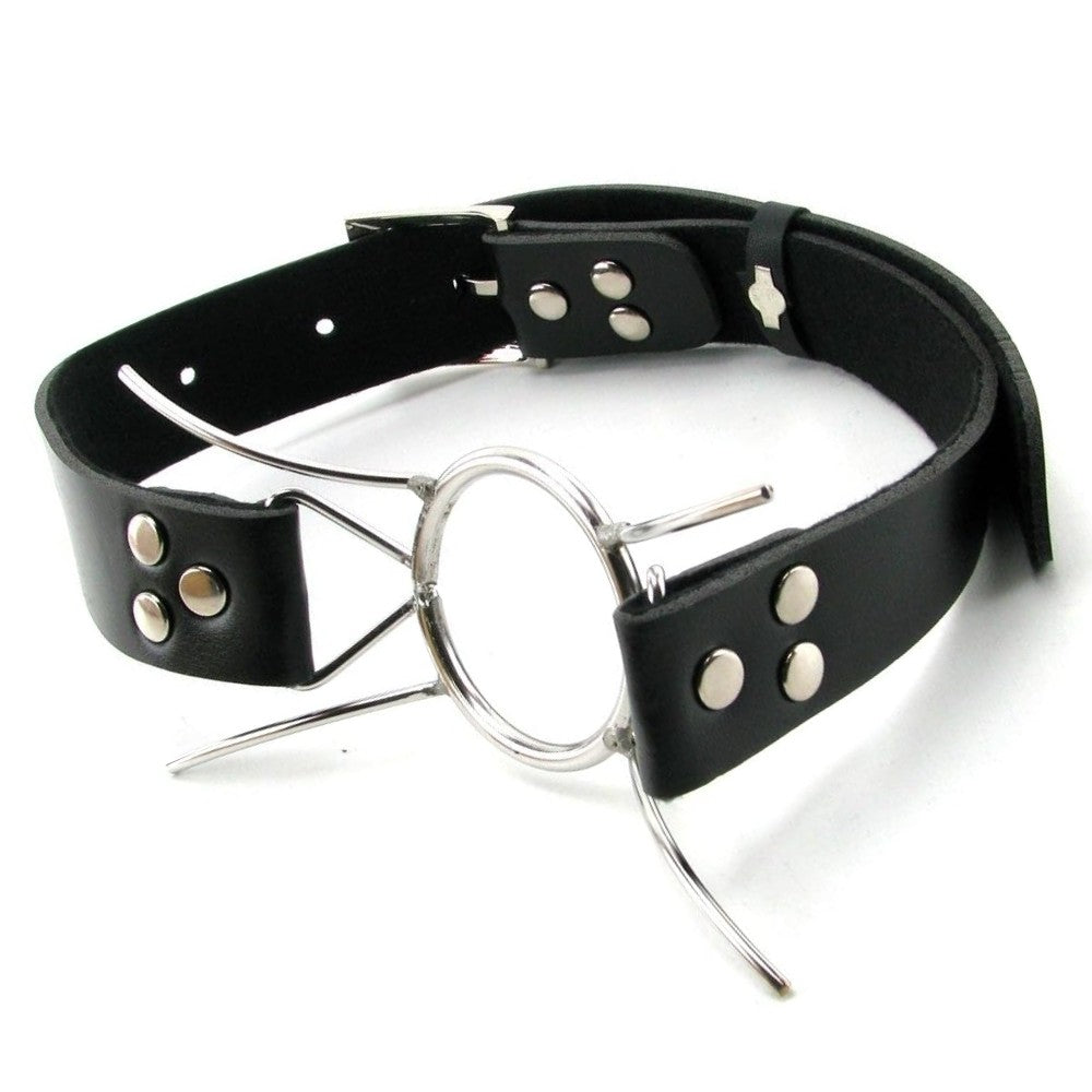 Pipedream Fetish Fantasy Extreme Spider Gag Ağızlık